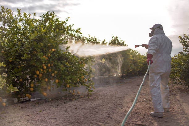 Best Exterminator Services  in Upland, CA